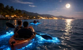 Puerto Vallarta Bioluminescence Tour Guide